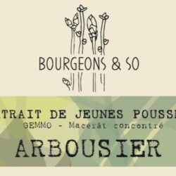 ARBOUSIER