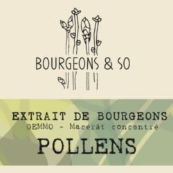 POLLENS