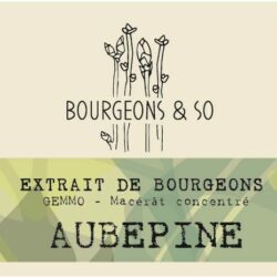 AUBEPINE