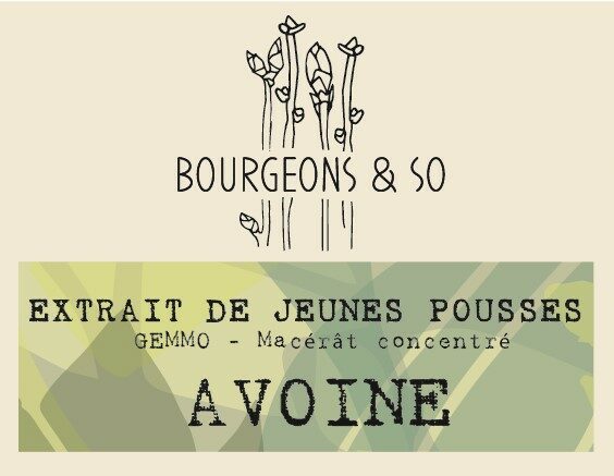 AVOINE
