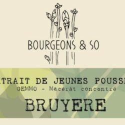 BRUYERE