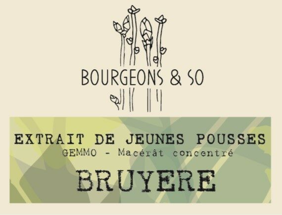 BRUYERE