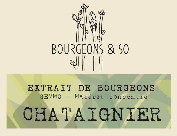 CHATAIGNIER