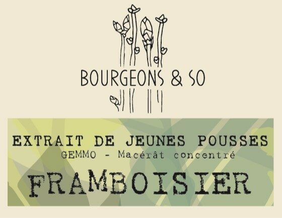 FRAMBOISIER
