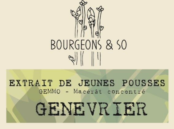 GENEVRIER