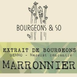 MARRONNIER
