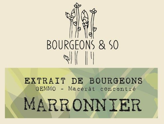 MARRONNIER