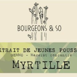 MYRTILLE