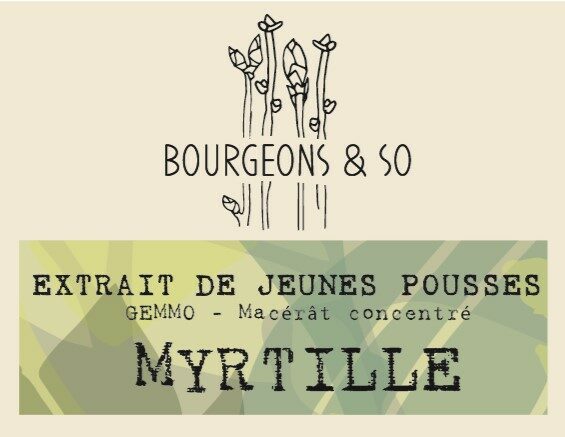 MYRTILLE
