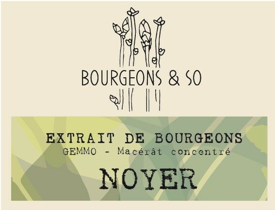 NOYER