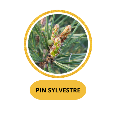 PIN