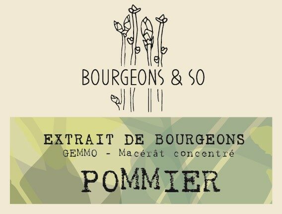 POMMIER