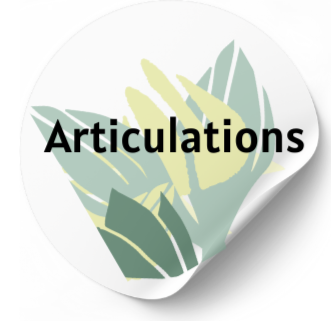 ARTICULATIONS