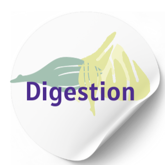 DIGESTION