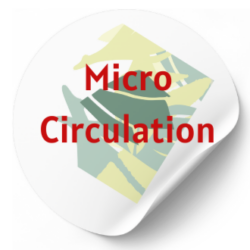 MICRO CIRCULATION