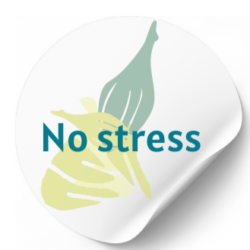 NO STRESS