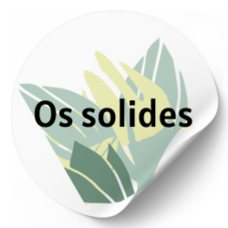 OS SOLIDES
