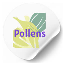 POLLENS
