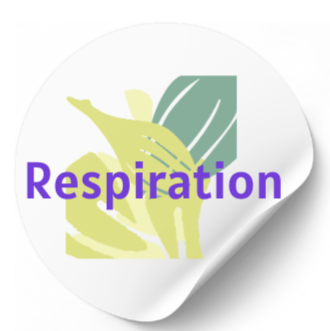 RESPIRATION