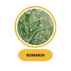 ROMARIN