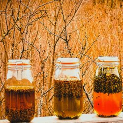 SYNERGIE DE BOURGEONS