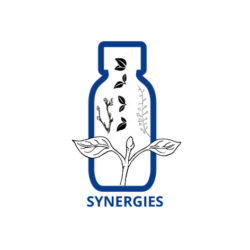 SYNERGIE DE BOURGEONS