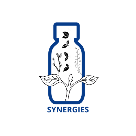 SYNERGIE DE BOURGEONS